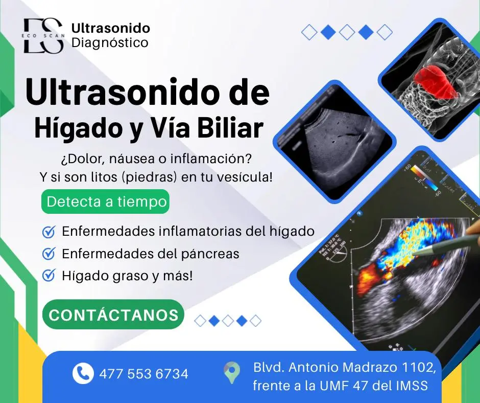 Otros ultrasonidos en EcoScan León
