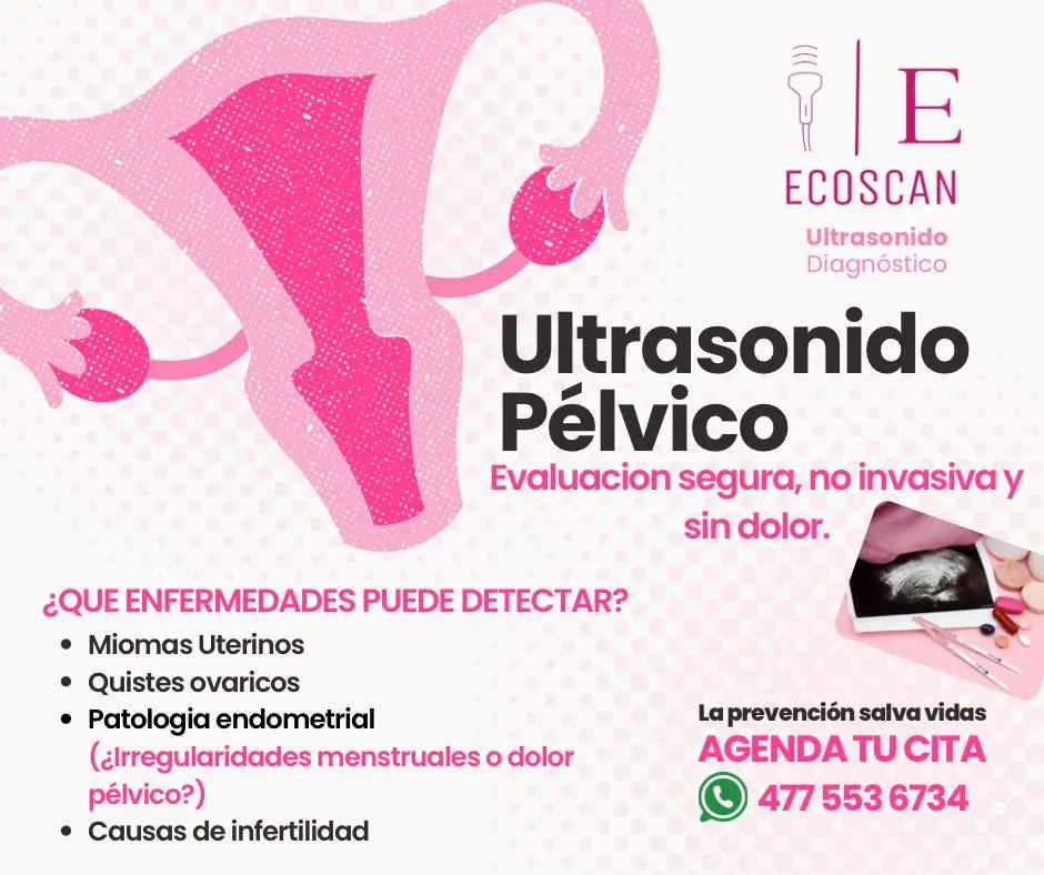Ultrasonido pélvico en EcoScan León